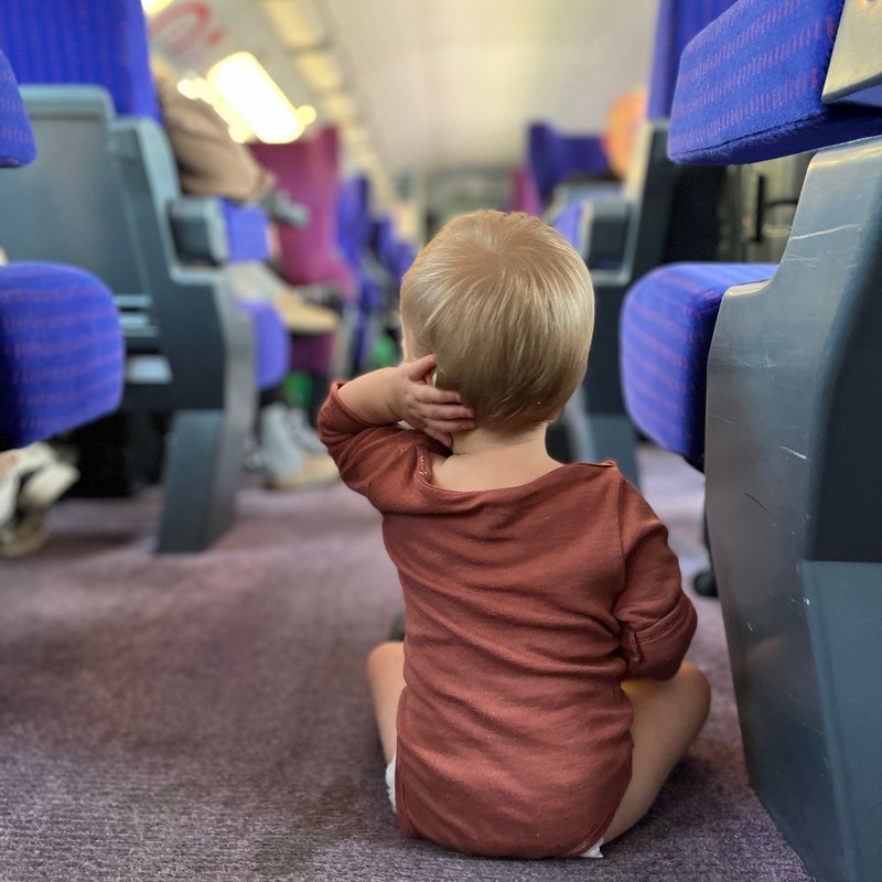 Ida im TGV nach Montelimar